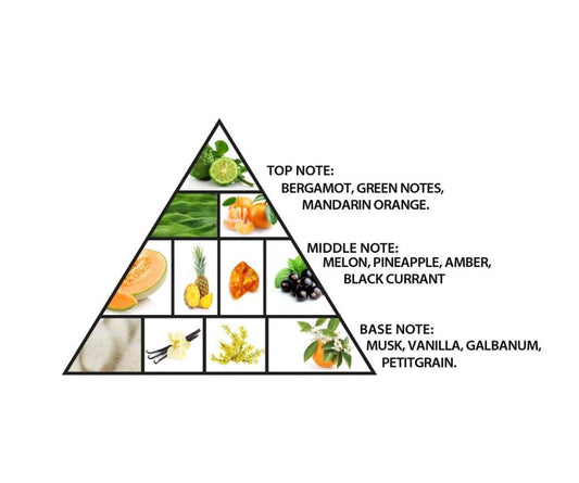 Al Haramain Amber Oud Aqua Dubai Edition - Arabian Perfume for Women and Men - Fresh and Fruity Arabic Perfume - EDP Spray 75ML